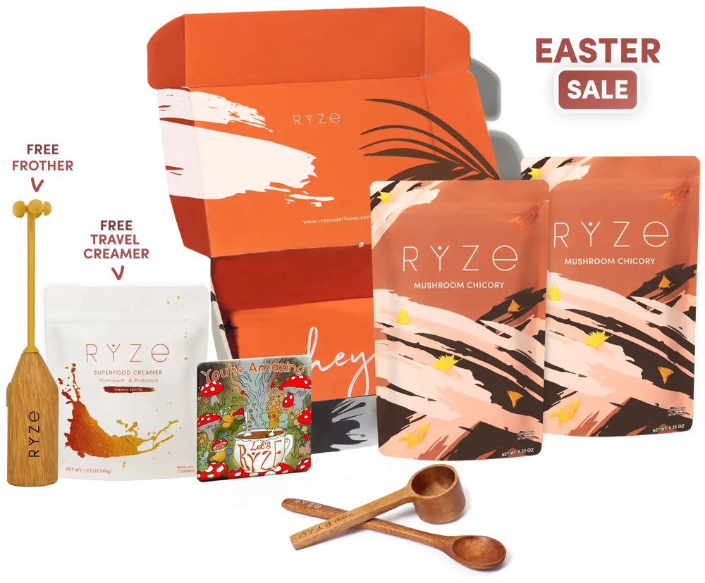 <tc>Mushroom Chicory Kit de Inicio (60 porciones)</tc>