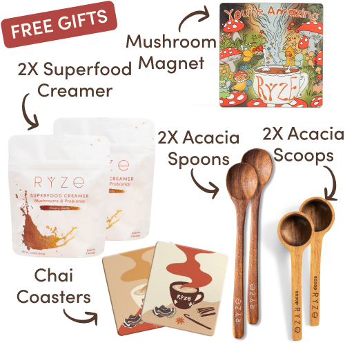 <tc>Mushroom Chicory Kit de Inicio (60 porciones)</tc>